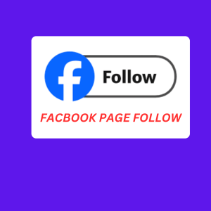 Facebook Followers 100% Hidden 1K